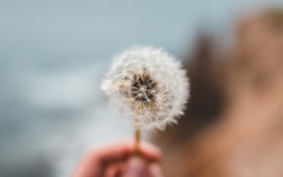 Comment trouver un bon kinésiologue à Revel ? (Nouveau)